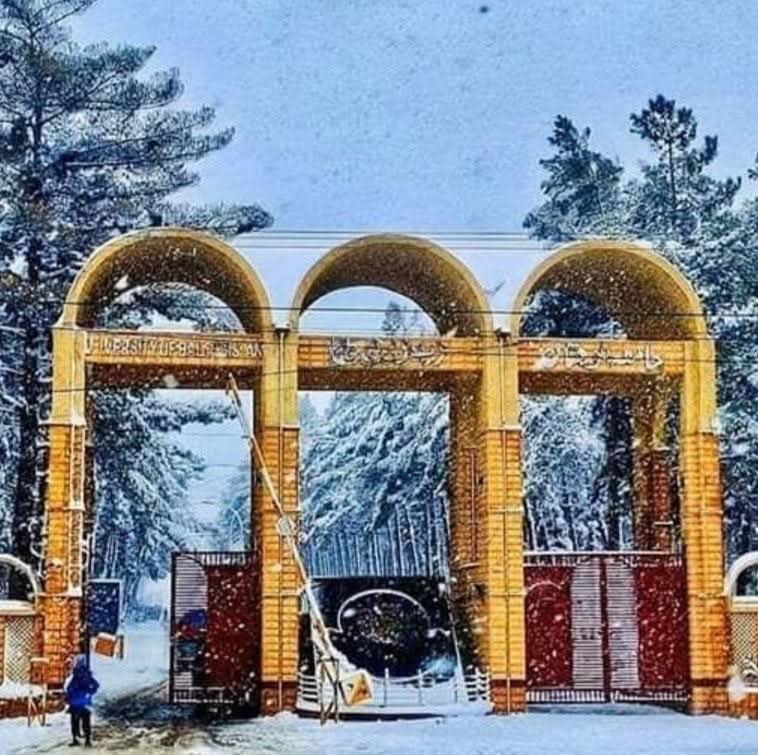 بلوچستان یونیورسٹی